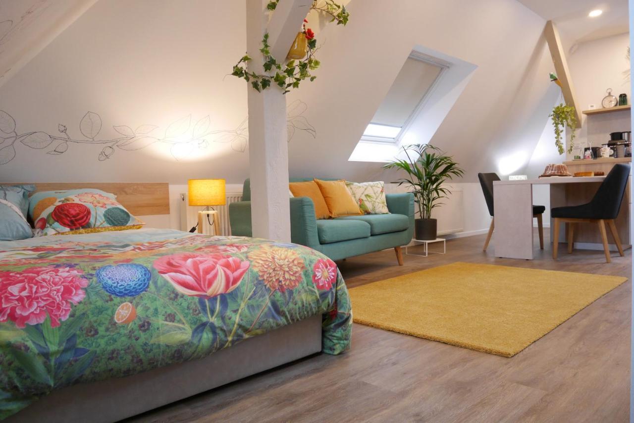 Ferienwohnung Le Jardin Des Roses Saverne Exterior foto