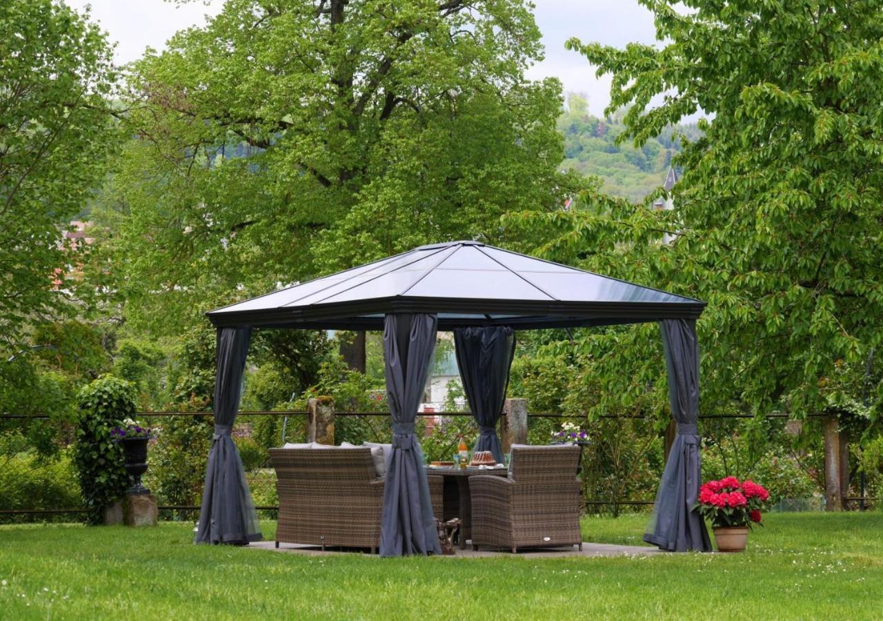 Ferienwohnung Le Jardin Des Roses Saverne Exterior foto