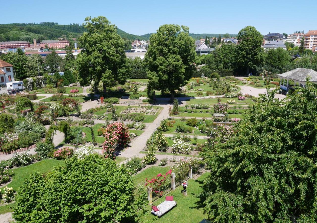 Ferienwohnung Le Jardin Des Roses Saverne Exterior foto